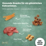 Boxiland Calendrier de l’Avent Chats 2025 #1