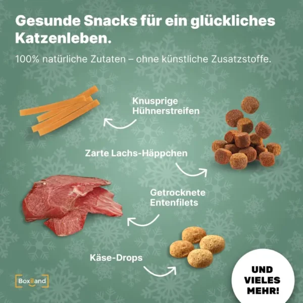 Boxiland Calendrier de l’Avent Chats 2025 #1