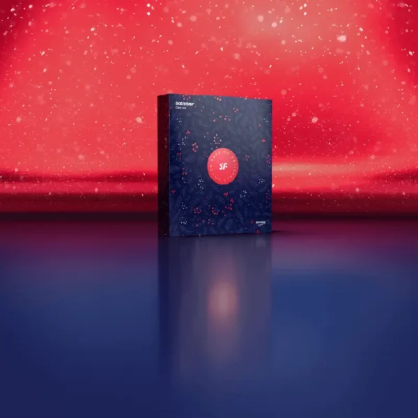 Calendrier de L'Avent Satisfyer Deluxe 2024 Noel