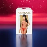 Calendrier de L'Avent Satisfyer Deluxe 2024 Penthouse