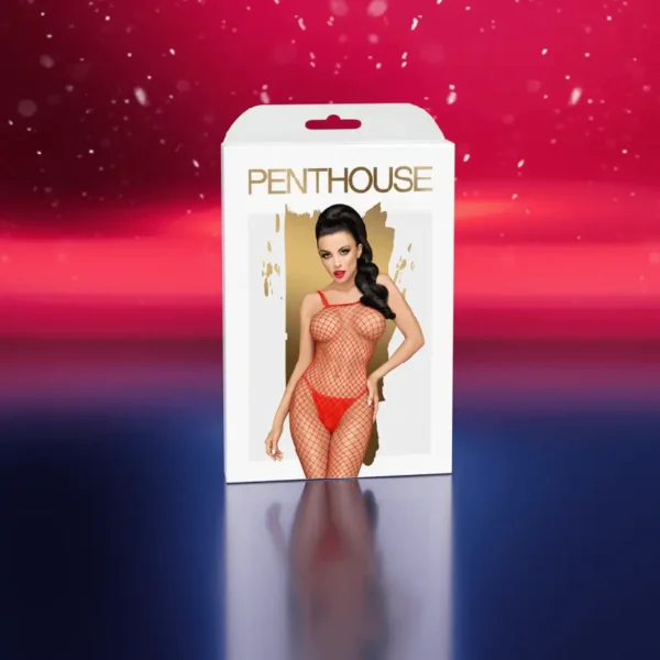 Calendrier de L'Avent Satisfyer Deluxe 2024 Penthouse