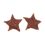 Calendrier de l'Avent Premio Chien Etoile