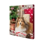 Calendrier de l'Avent pour chiens Trixie