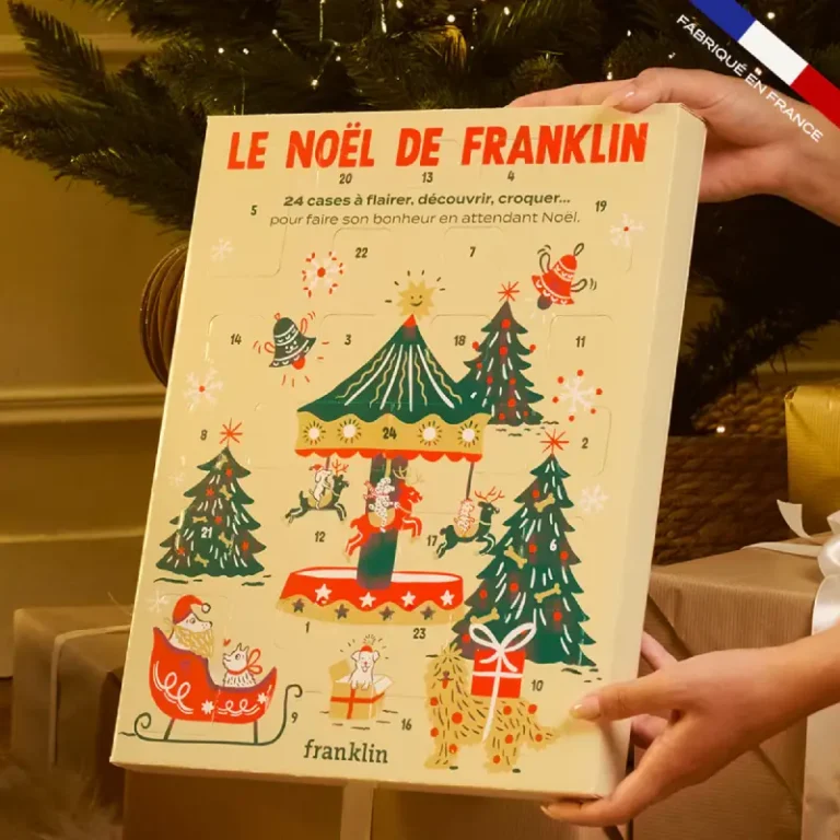Franklin Calendrier de l'Avent 2025 #4