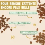 Franklin Calendrier de l'Avent Chat 2025 #1