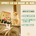 Franklin Calendrier de l'Avent Chat 2025 #2