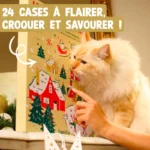 Franklin Calendrier de l'Avent Chat 2025 #3