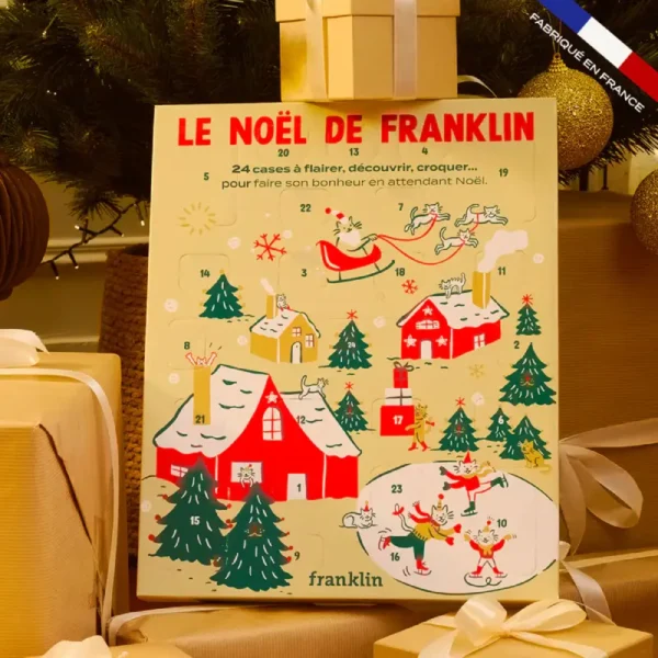 Franklin Calendrier de l'Avent Chat 2025 #4
