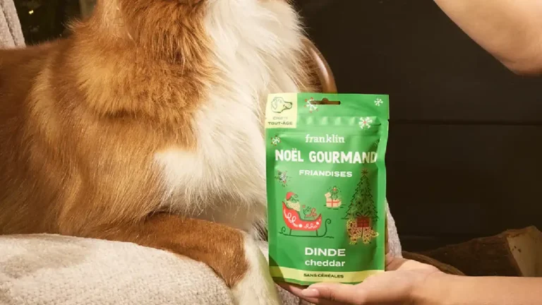 Idée Cadeau Friandises chien Dinde Cheddar