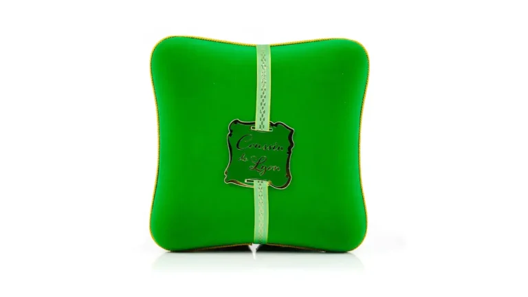 Idée Cadeau Les Coussins de Lyon Voisin