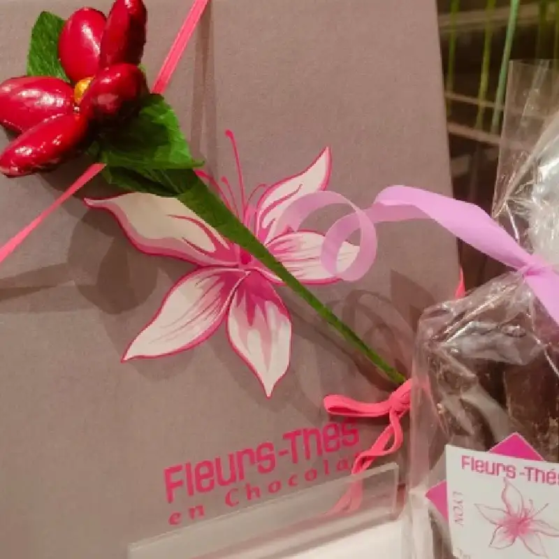 Idée Cadeau Noel Sous le Sapin, l’Écrin Must Chocolats Fait Fondre les Cœurs