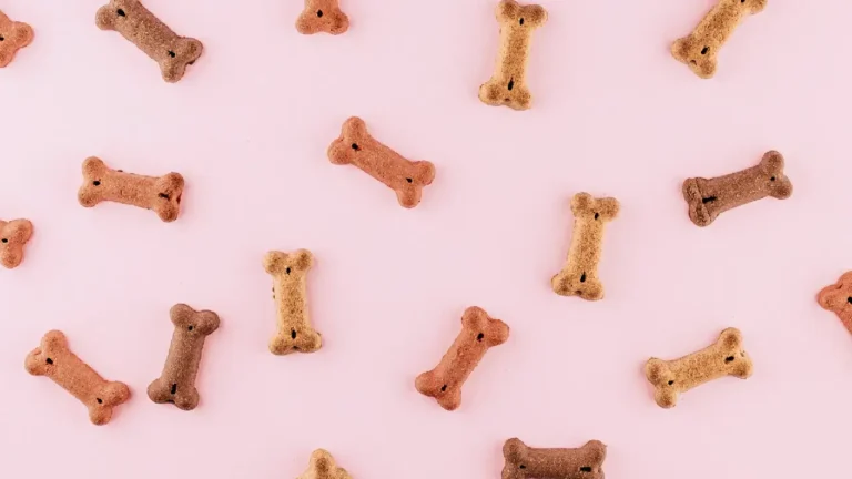 Idées Cadeaux Noël Friandises Chiens