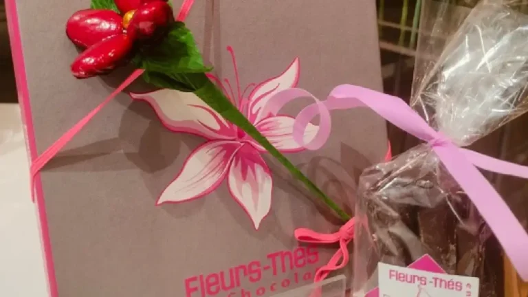 Sous le Sapin, l’Écrin Must Chocolats Fait Fondre les Cœurs